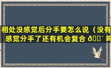 相处没感觉后分手要怎么说（没有感觉分手了还有机会复合 🐴 吗）